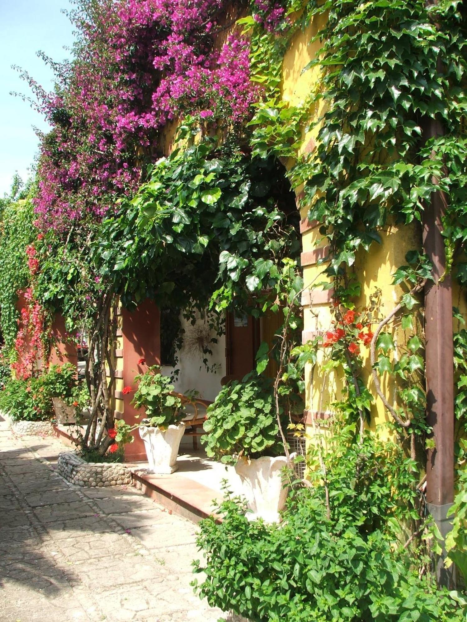 Agriturismo Posta Pastorella Vieste Oda fotoğraf